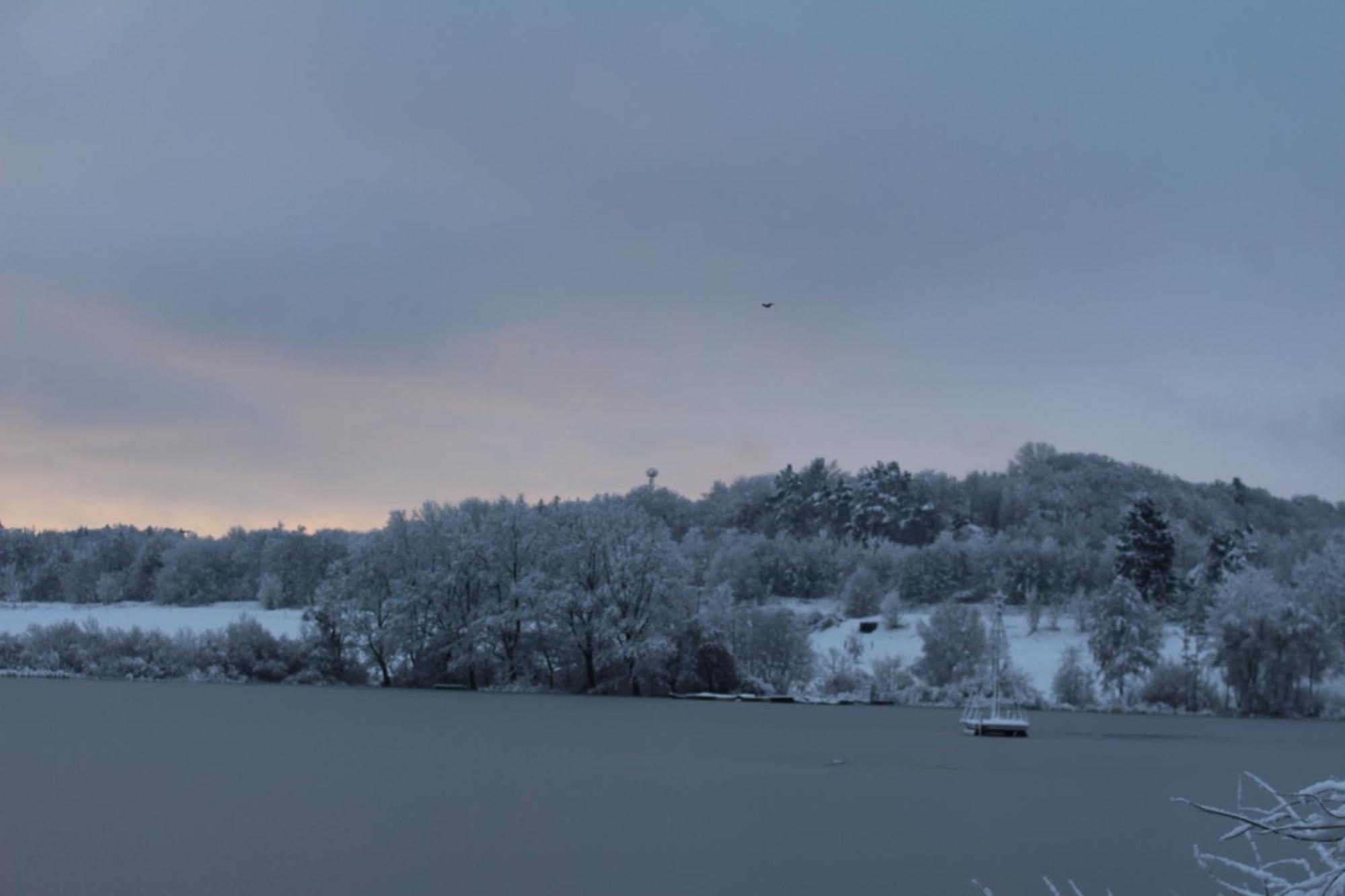 Ferienwohnungen Eifelstuben Mit Charme - Am See, Nahe Burg Ulmen Esterno foto